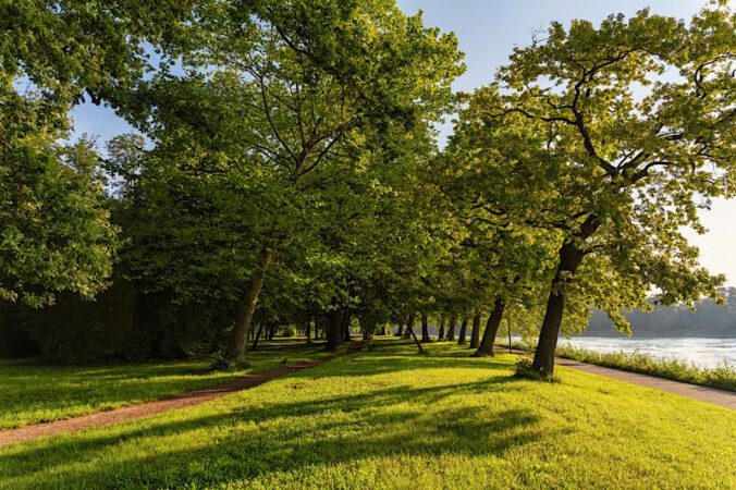 Parkinsel (Foto: Ralph Beetz)