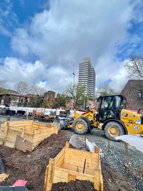 Während es um die Platane blüht, rollen daneben die Bagger. (Foto: Stadt KL)