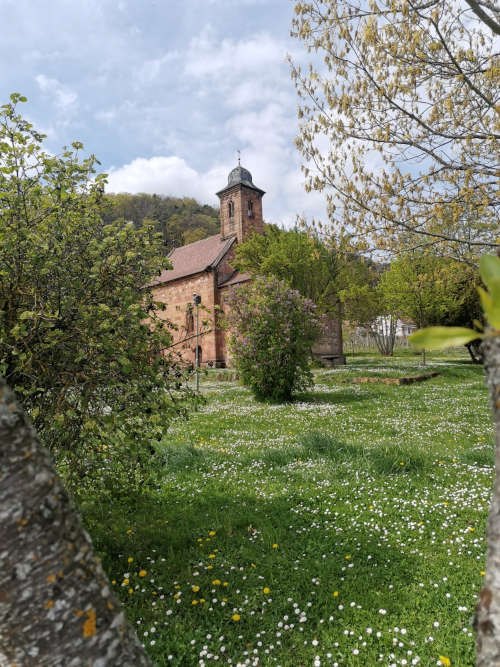 Nikolauskapelle bei Klingenmünster (Foto: Jutta Nuss-Uhl)