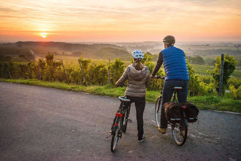 Radfahren in den Weinbergen (Quelle: Dominik Ketz, RPT GmbH)