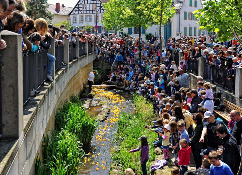 Entenrennen auf der Eisenach (Foto: Stadtverwaltung Bad Dürkheim)