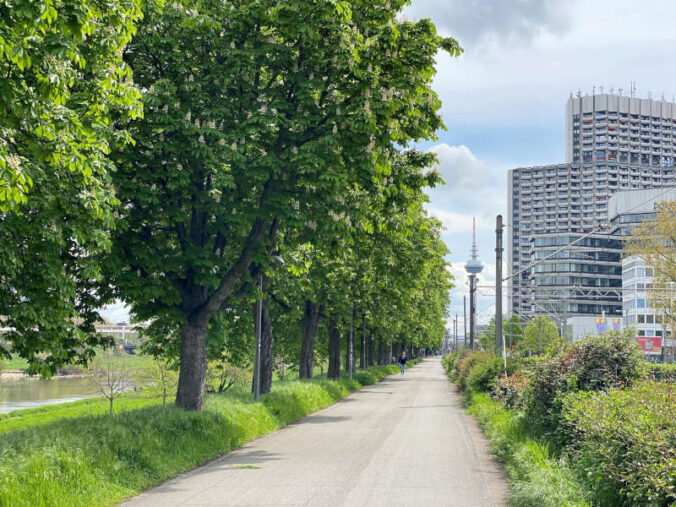 Am Neckar in Mannheim (Foto: Torsten Kleb)