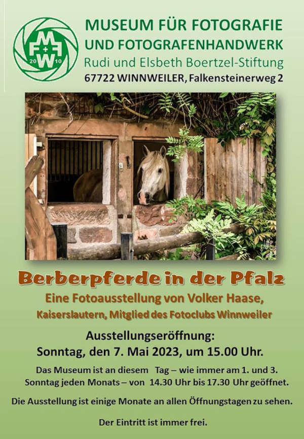 Ausstellung Berberpferde in der Pfalz