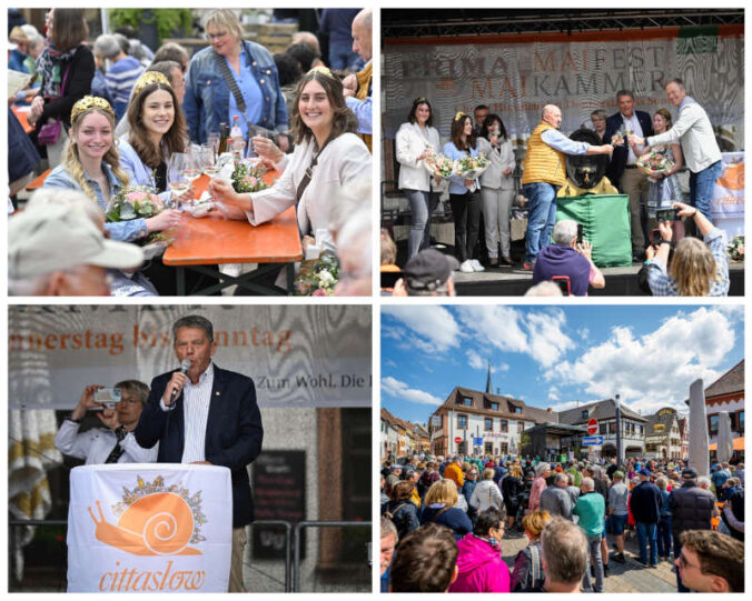 Maifest Maikammer (Foto: Büro für Tourismus Maikammer/Schepers_Photography)