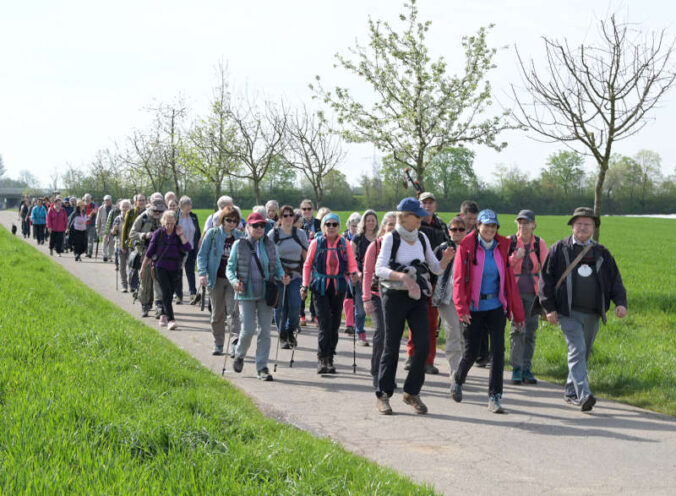 Die Gruppe auf dem Weg bei Dudenhofen (Foto: Klaus Landry)