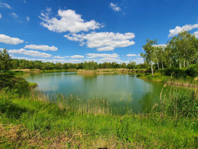 Erlebnislandschaft Erdekaut (Foto: Donnersberg-Touristik-Verband)