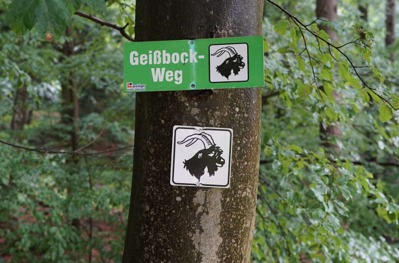 Geißbockweg (Foto: Holger Knecht)