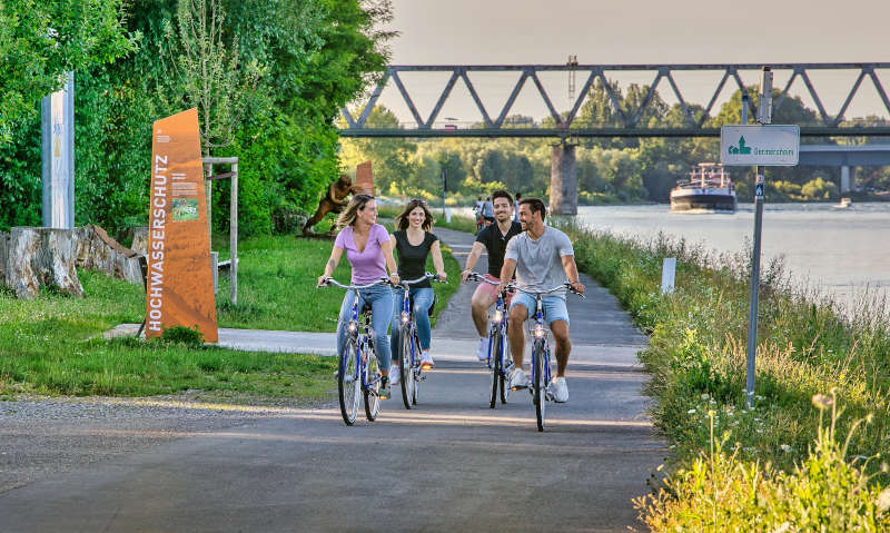 Gruppe mit Rad am Rhein (Foto: Britta Hoff)