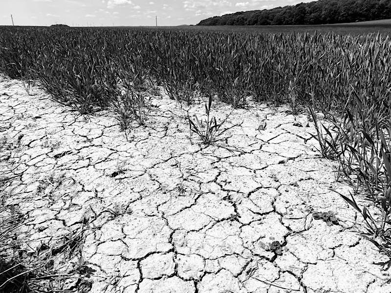 Beängstigend: eines der Fotos, die den Klimawandel dokumentieren (Foto: Reiner Voß)