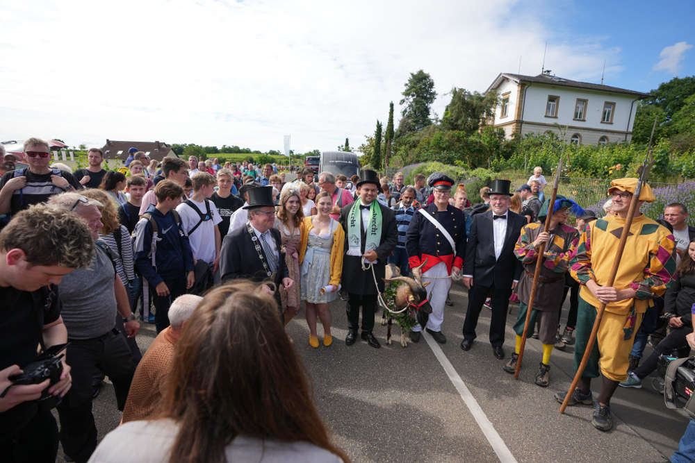 Übergabe des Geißbocks an der Deidesheimer Stadtgrenze