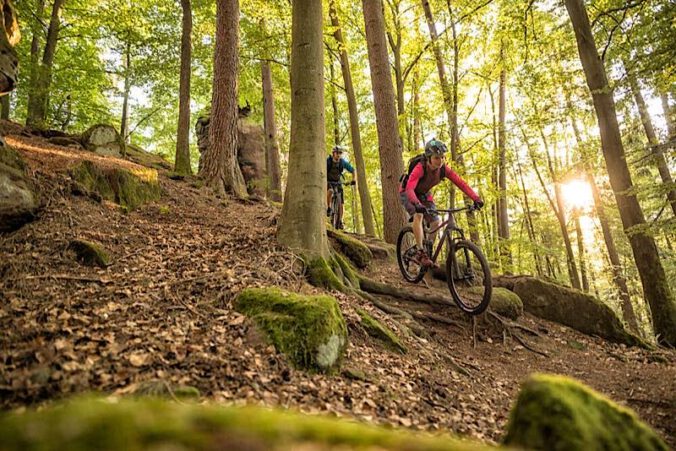 Andreas Meyer, World of MTB / Pfalz-Touristik e.V.