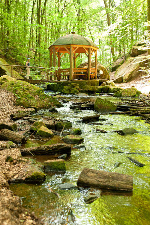 Durch die wildromantische Karlstalschlucht bei Trippstadt führt der Pfälzer Waldpfad. Das Naturschutzgebiet wurde einst von dem Gartenkünstler Friedrich Ludwig von Sckell mit einem hölzernen Pavillion ausgestattet, der sich mühelos als Kleinod in die Landschaft einfügt.