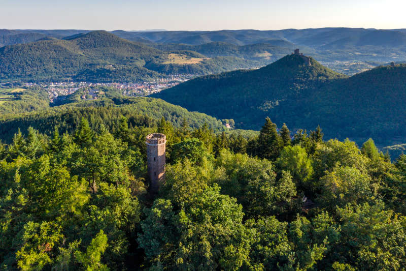 Rehbergturm (Foto: Dominik Ketz)