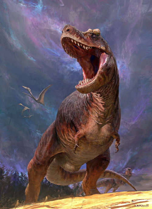 Tyrannosaurus rex. (Foto: RJ Palmer 2012, creative-beast.com)