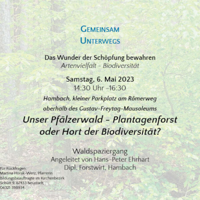 Unterwegs Wald