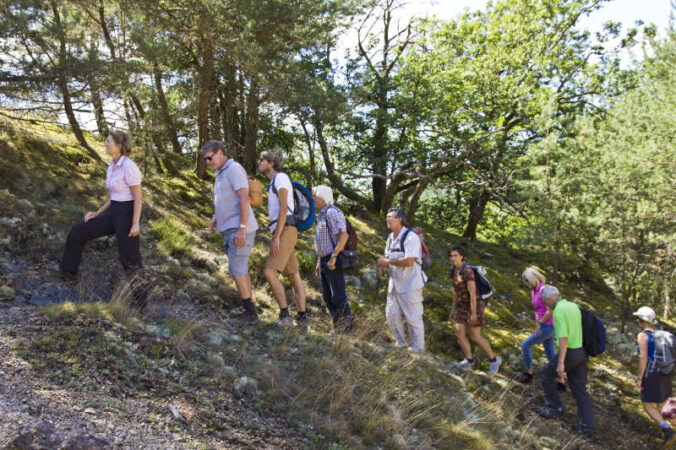 Foto: Donnersberg-Touristik-Verband