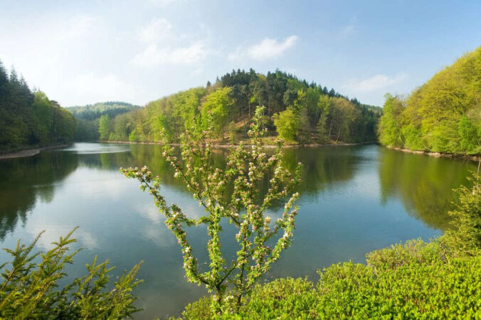 Idylle am Eiswoog erleben (Foto: Dominik Ketz / Rheinland-Pfalz Tourismus GmbH)