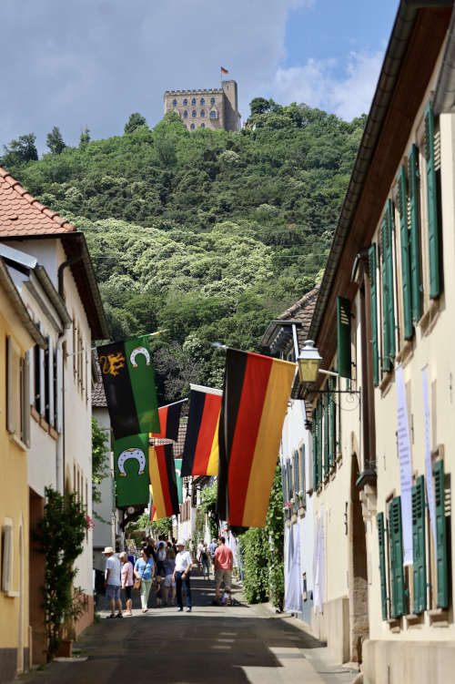 Blick zum Hambacher Schloss (Foto: Ortsverwaltung Hambach)