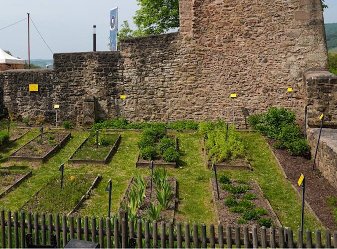 Kräutergarten Burg Lichtenberg (Foto: Holger Knecht)