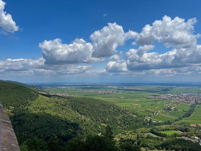 Blick in die Rheinebene (Foto: privat)