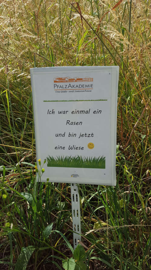 Ein Zeichen für die Artenvielfalt: erläuterndes Schild (Foto: Bezirksverband Pfalz)