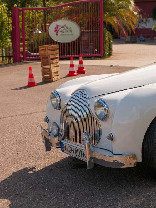 Vino Miglia (Foto: Automobil-Club Maikammer e.V. im ADAC)