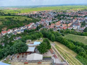 Wachtenburg bei Wachenheim (Foto: privat)