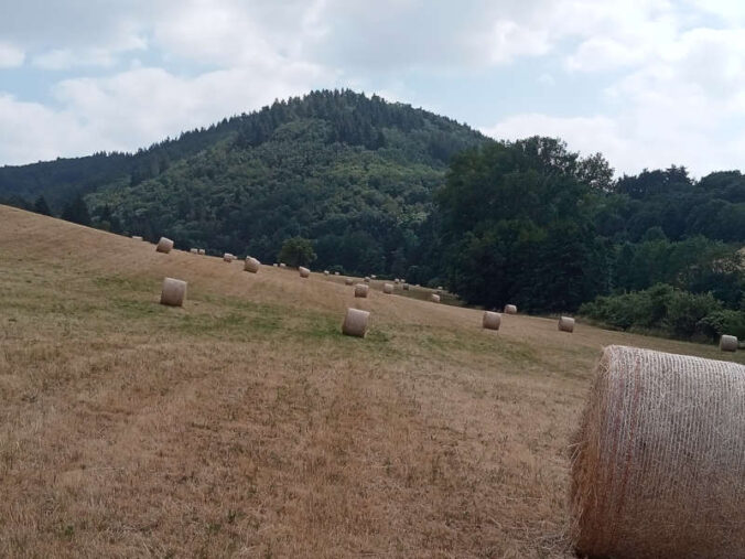 Blick auf den Kübelberg (Foto: Stefan Weber)