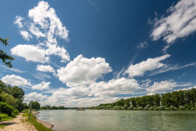 Blick auf den Rhein bei Speyer (Foto: Dominik Ketz / Rheinland-Pfalz Tourismus GmbH)