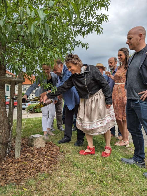 Gießen des Mandelbaumes (Foto: Stadt Neustadt)