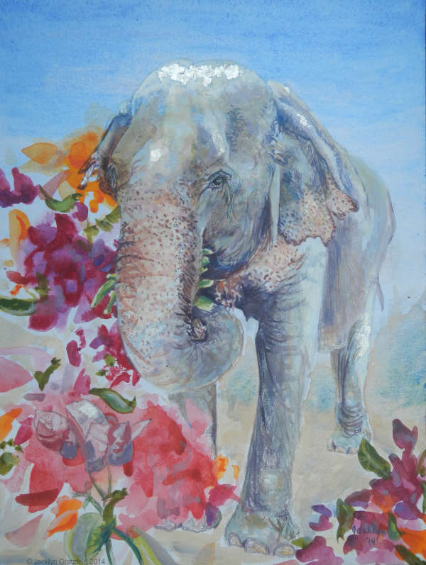 Songkran - Geschichte eines Elefanten