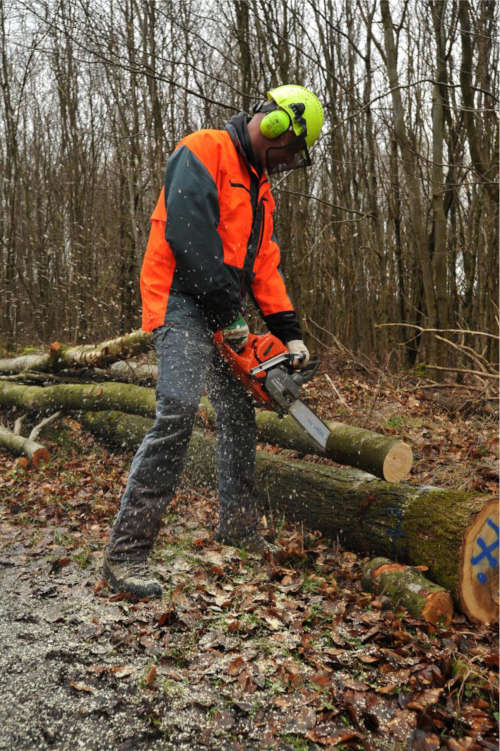 Ein Kunde sägt sein Brennholz am Wegesrand klein. (Foto: Landesforsten.RLP.de / Lamour/Hansen)