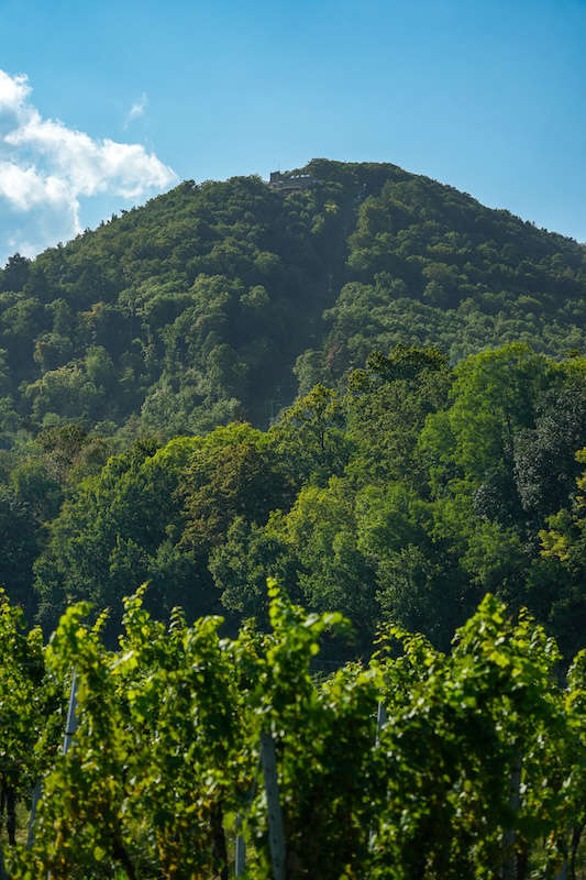 Oben auf dem Berg war das Ziel (Foto: Holger Knecht)