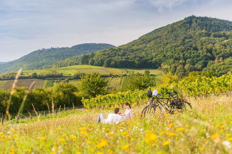 Picknick im hohen Gras am Radweg Deutsche Weinstraße (Foto: Dominik Ketz / Rheinland-Pfalz Tourismus GmbH)