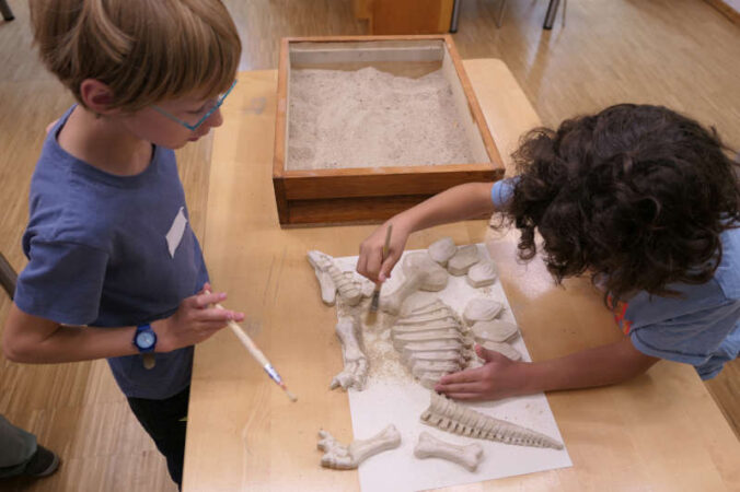 Mit Puzzleteilen aus Gipsknochen entsteht ein Saurier (Foto: Pfalzmuseum)