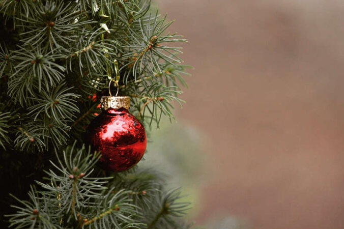 Symbolbild Weihnachtsbaum Tannenbaum (Foto: Pixabay/Kati)