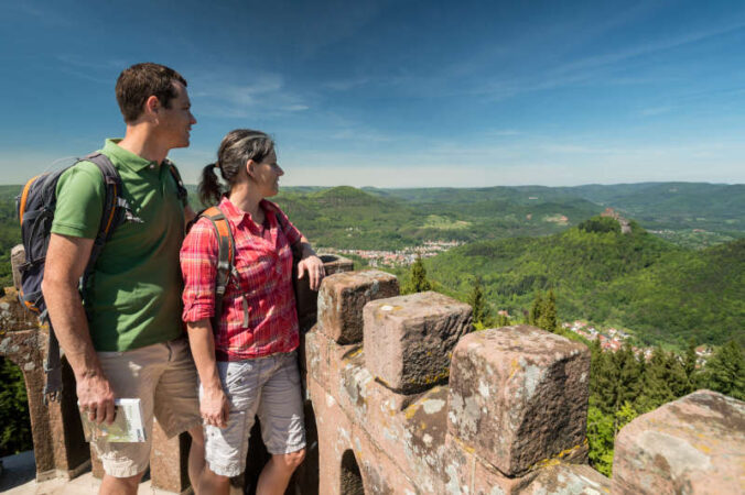 Ausblick vom Rehbergturm (Foto: Dominik Ketz, Pfalz.Touristik e.V.)