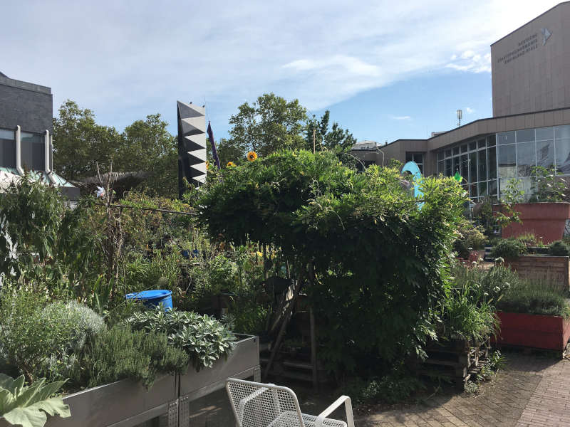 Museumsgarten am Wilhelm-Hack-Museum (Foto: Helmut van der Buchholz)