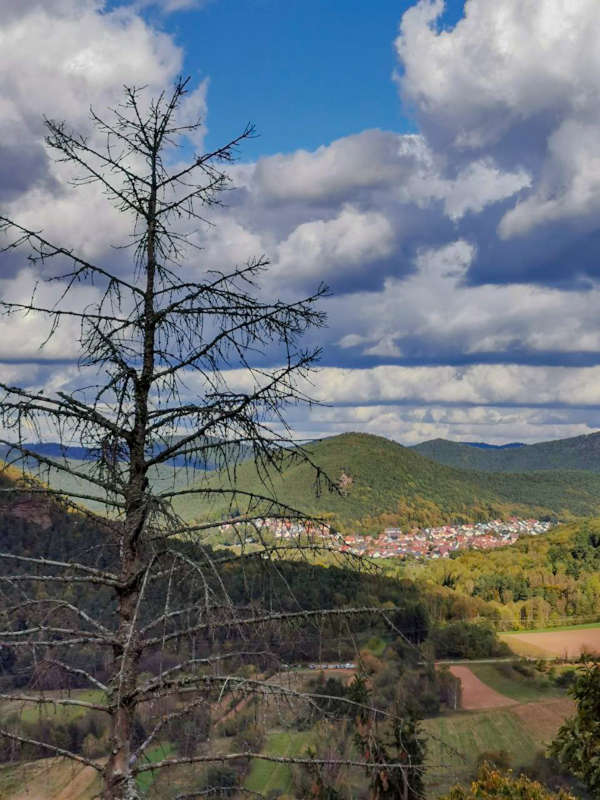 Blick vom Dimbacher Buntsandstein Höhenweg (Foto: Lotti Klein)