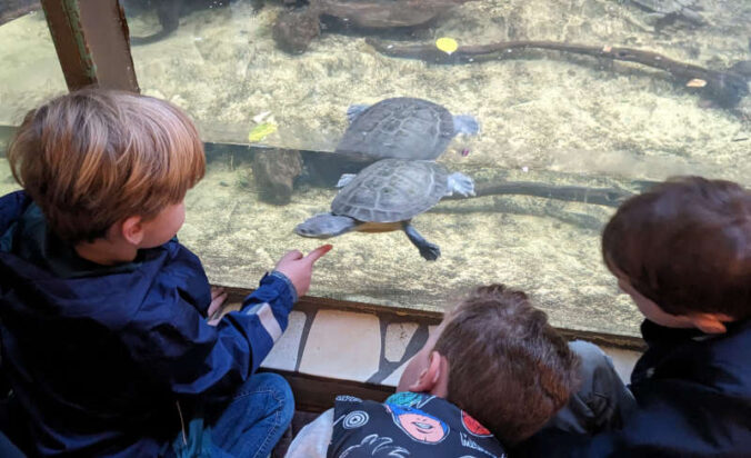 Opa-Oma-Enkeltag (Foto: Zooschule Landau)