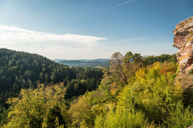 Aussicht auf dem Dahner Rundwanderweg (Foto: Dominik Ketz/Pfalz Touristik e.V.)