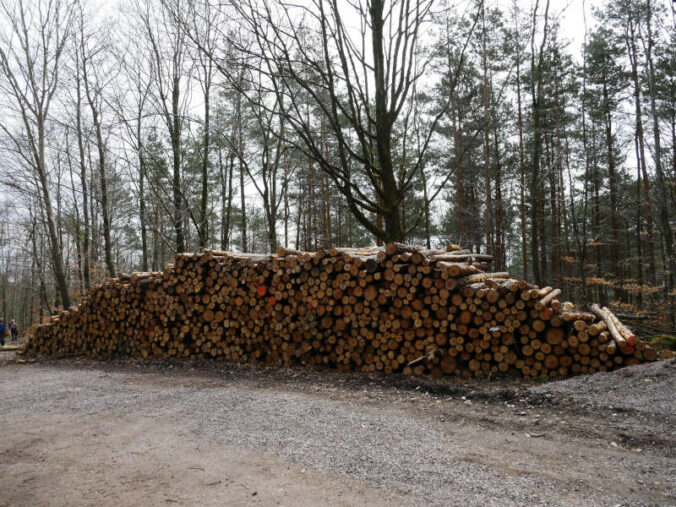 Holzpolter (Foto: Jens Bramenkamp)