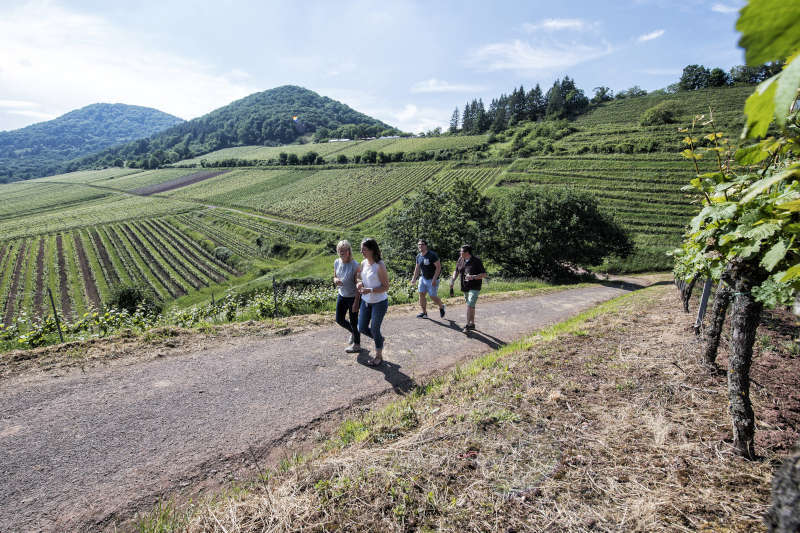 Birkweiler Weinfrühling (Foto: floriantrykowski.com, Pfalztouristik e.V.)