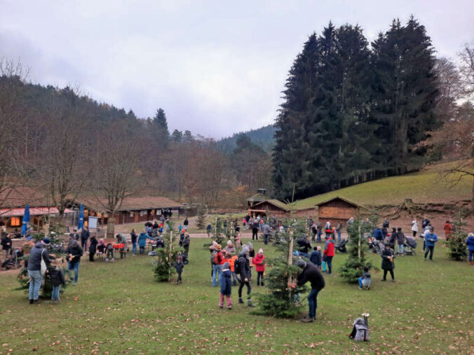 Im Wild- und Wanderpark bei Silz (Foto: WWP Sitz)