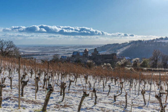 Aussicht auf die Burg Neuleiningen im Winter (Foto: Jochen Heim / Pfalz Touristik e.V.)