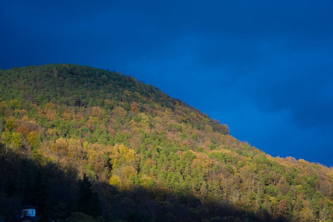 Wetterstimmung am 11.11.2023 (Foto: Holger Knecht)