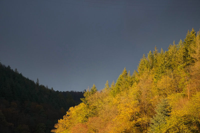 Wetterstimmung am 11.11.2023 (Foto: Holger Knecht)