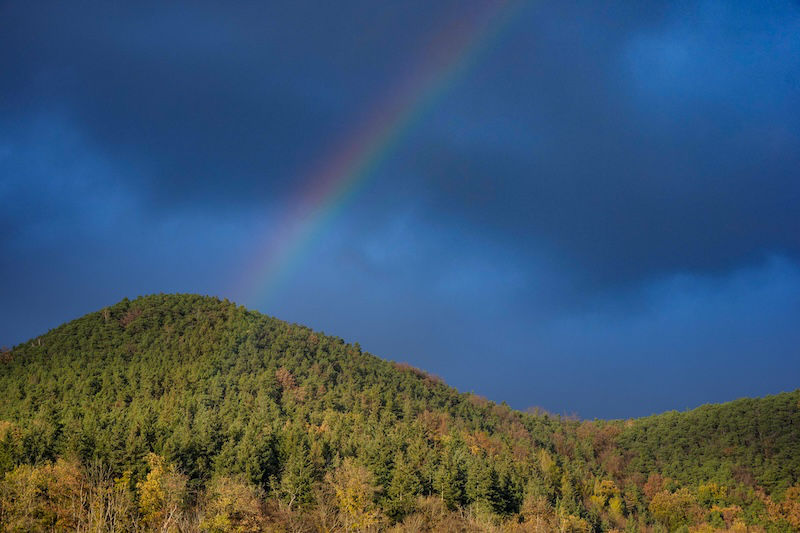 Wetterstimmung am 11.11.2023 (Foto: Holger Knecht)