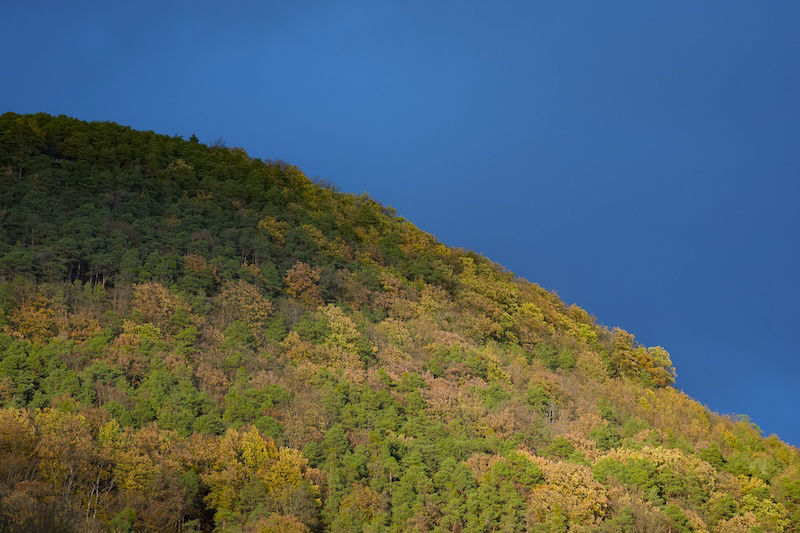 Wetterstimmung am 11.11.2023 (Foto: Holger Knecht)