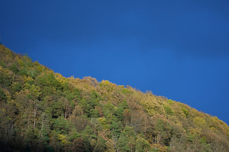 Wetterstimmung am 11.11.2023 (Foto: Holger Knecht)